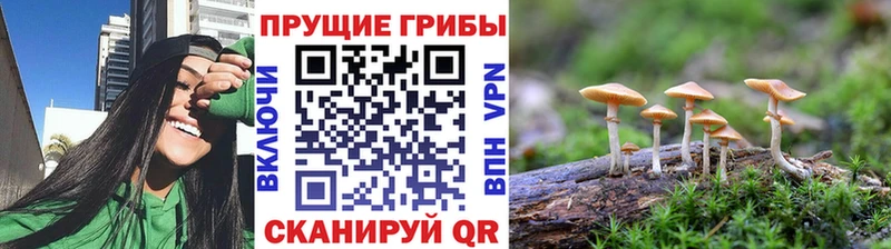 Галлюциногенные грибы MAGIC MUSHROOMS  ОМГ ОМГ зеркало  Лиски 